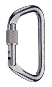 Large Stainless Locking D